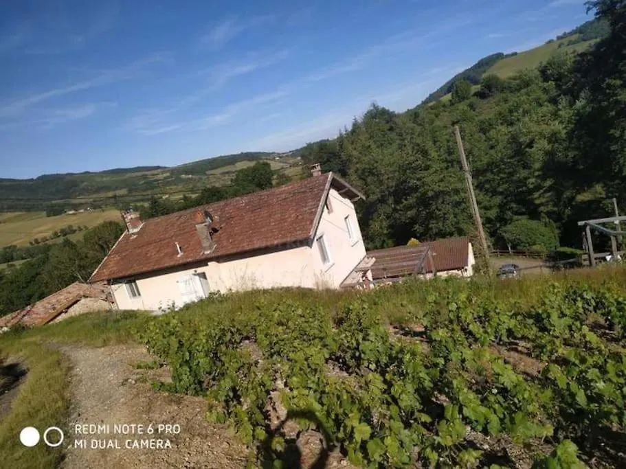 Holiday home Le Bonheur En Beaujolais - Pour 26 Personnes Villa Saint-Didier-sur-Beaujeu