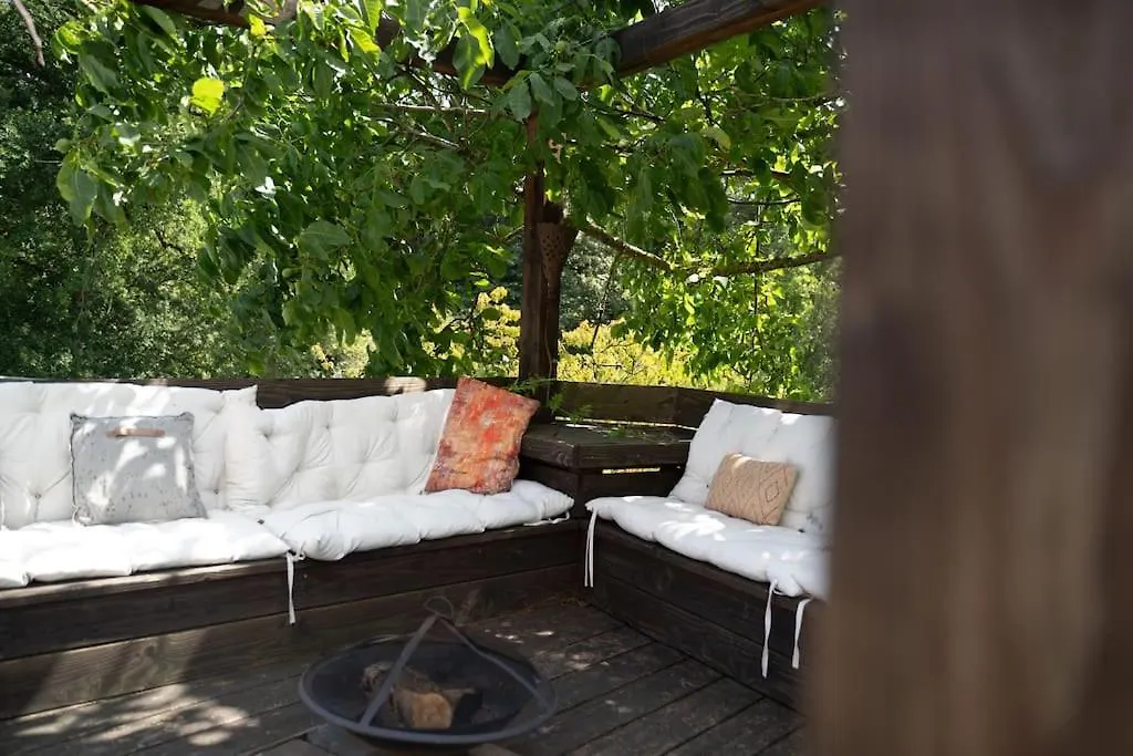 Le Bonheur En Beaujolais - Pour 26 Personnes Villa Saint-Didier-sur-Beaujeu France